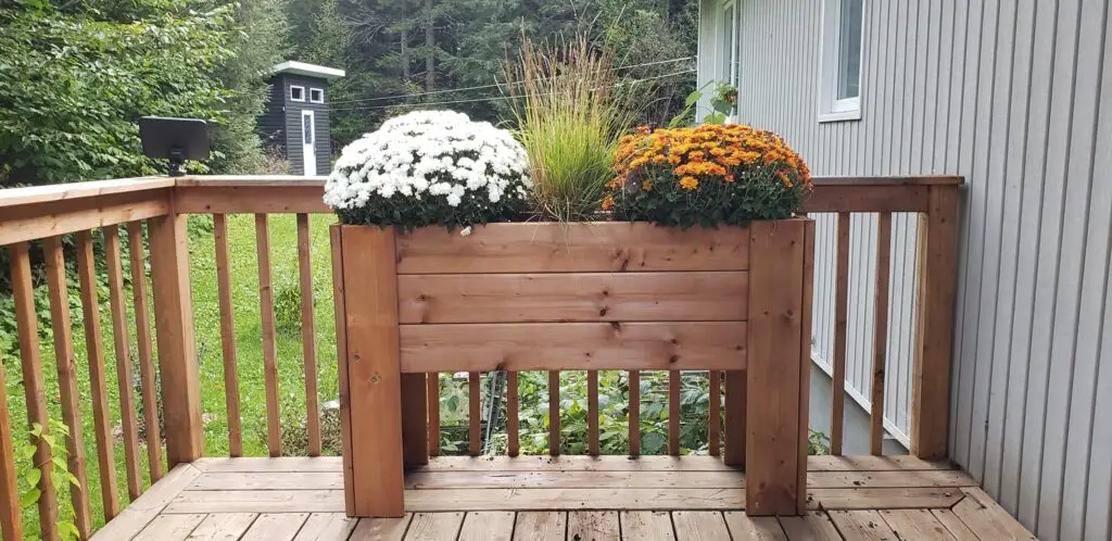 photo d'un bac de bois à plantes à l'extérieur avec un arrangement de fleur jaune et blanche